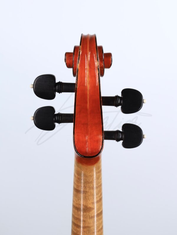 Violon, Annibale Fagnola – Image 4