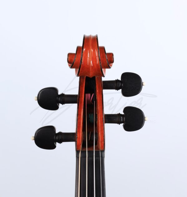 Violon, Annibale Fagnola – Image 3